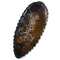 Elden-ring spiraltree-seal.webp