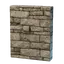 Secret Basement Door