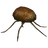 Blind Watcher's Eye