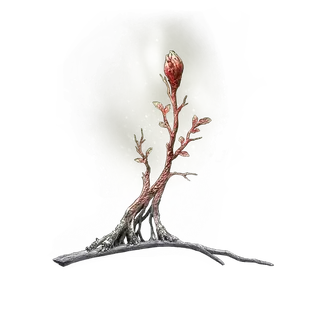 Sacramental Bud