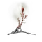 Elden-ring sacramental-bud.webp