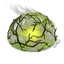 Eternal Entangle