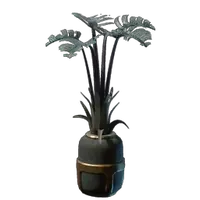 Small Prickle Pearl Plant Pot