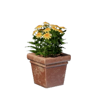 Square Yellow Flower Pot