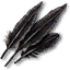 Griffin Feathers