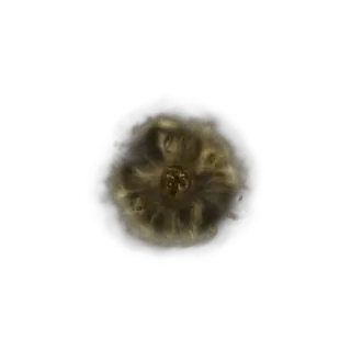 Golden Rune [7]