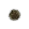 Elden-ring golden-rune-7.webp