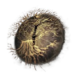 Iris of Grace