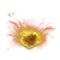 Elden-ring surging-frenzied-flame.webp