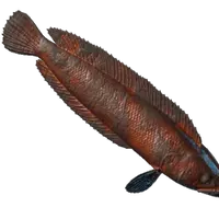 Grilled Stripetail