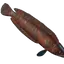 Grilled Stripetail
