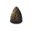 Pine Cone