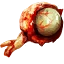 Erynia Eye