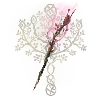 Bewitching Branch