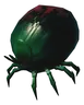 Tick