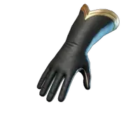 Scholar Of The Empyrean Gloves