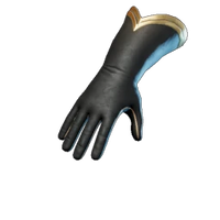 Scholar Of The Empyrean Gloves
