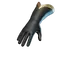 Scholar Of The Empyrean Gloves