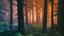 Black Forest