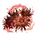 Elden-ring red-fulgurbloom.webp