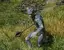 Fell Berserker