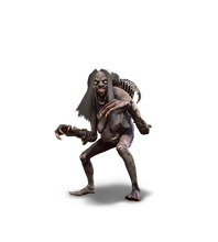 Grave Hag