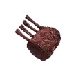 Dragon's Dogma 2 Aged Beast-Steak.webp