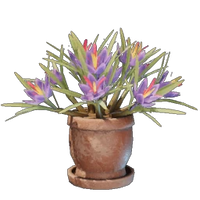 Saffron Plant Pot