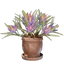 Saffron Plant Pot