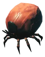 Tick