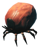 Tick