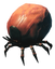 Tick