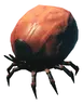 Tick