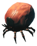 Tick