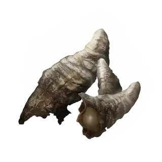 Beast Horn