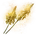 Elden-ring altus-bloom.webp