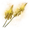 Elden-ring altus-bloom.webp