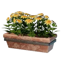 Long Yellow Wall Flower Pot