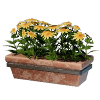 Long Yellow Wall Flower Pot