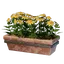 Long Yellow Wall Flower Pot