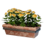 Long Yellow Wall Flower Pot