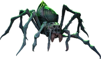 Spider