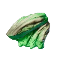 Mint Mushroom Meat