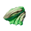 Mint Mushroom Meat