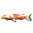 Carp