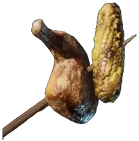 Meat and Corncob Skewer