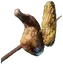 Meat and Corncob Skewer