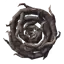 Shield of Roots