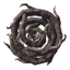 Shield of Roots