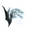 Elden-ring ghost-glovewort-6.webp